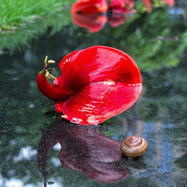 二等獎 遇見.jpg